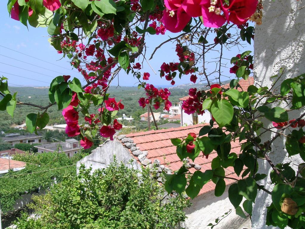 Fenareti Village House Makhairoi Екстер'єр фото